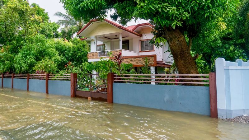 Tree Trimming Service
