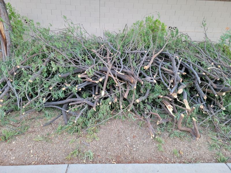 Completed Tree Trimming