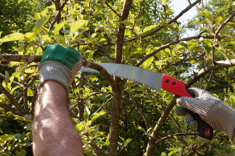Tree Pruning Process